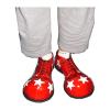 Pantofi clown
