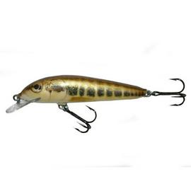 Vobler Salmo Minnow M7F M plutitor 7 cm/6 gr