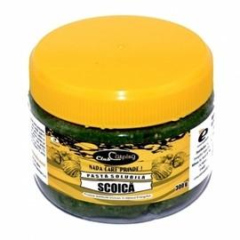 Pasta Solubila Carping Club 300 g Miere