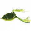 Naluca soft dancer frog weed