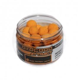 Boilies Pop Up Attract Scopex&Cream 14mm/50g StarBaits