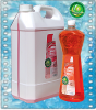 Detergent universal antibacterian antimucegai