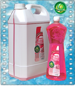 DETERGENT CU EFECT IGIENIZANT AUTOMAT - detergent universal