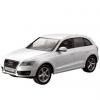 Audi Q5 1-24 ALB RASTAR