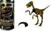 Buki paleontologie - scheletul de velociraptor