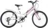 Dino Bikes Bicicleta copii cod 420D