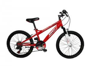 Bicicleta Denver Cars 6 viteze 20 inch