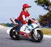 Peg Perego Motocicleta electrica Ducati GP 24V limited edition