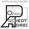 Ovidiu Proiect Andrei