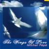 Muzica cd wings of heaven