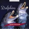 Album  sounds of the earth  dolphins