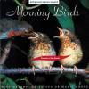 Muzica de relaxare sounds of the earth morning birds