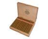 25 Trabucuri H.Upmann Sir Winston