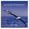 Muzica Ambient Heaven Seascape