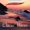 Muzica de relaxare Sounds of the Earth Ocean Waves