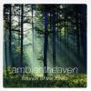 Muzica ambiet heaven sounds of the forest