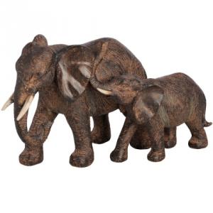 Familia Elefant