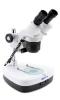 Stereomicroscop 2x-4 x lab