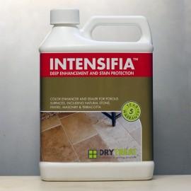 Impermeabilizant Dry-Treat INTENSIFIA&trade; 3.79L