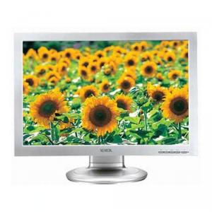 Monitor lcd 19 wide