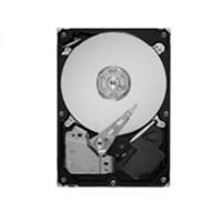 HDD Seagate ST3500418AS