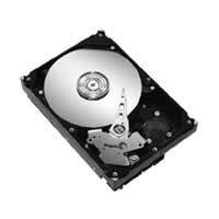 HDD Seagate ST31500341AS