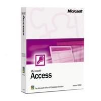 Aplicatie Microsoft Access 2007 Romanian CD (077-03799)