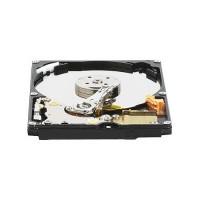 HDD Western Digital WD800BEVE