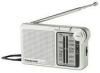 Radio portabil, 3 lungimi de unda, Panasonic RF-P150EG9-S