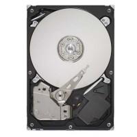 Hdd seagate st31000520as