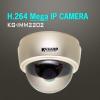 Ip dome, 1.3m progressive sensor/ h.264,