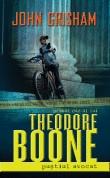 John Grisham -  Theodore Boone : Pustiul avocat