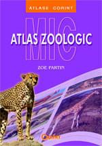 Zoe Partin -  Mic Atlas Zoologic