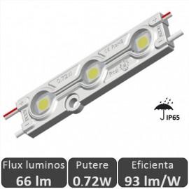 Modul LED 0.72W SMD5050 12Vdc IP65, alb-rece