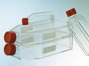 Sticle pentru culturi celulare cu dop filetat prevazut cu filtru CE48.1