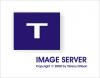 T Image Server