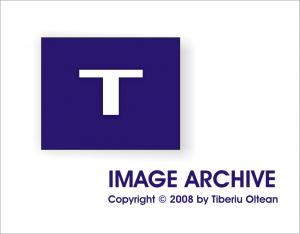 T Image Archive
