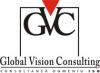 SC GLOBAL VISION CONSULTING SRL
