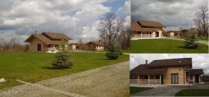 Casa P+M, teren 6000 mp V.Avrigului Sibiu