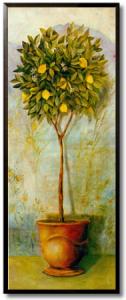 Lemon Tree