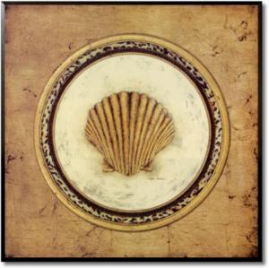 Glamour Scallop Shell