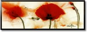 Poppies in the Wind V