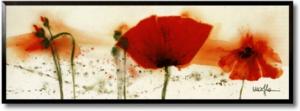 Poppies in the Wind VI