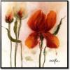 Orange lily ii
