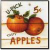 U-pick apples, five cents