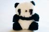 Camera web wft ursulet panda bear wft-056