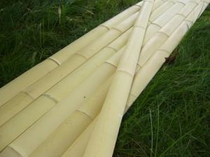 Stalpi bambus