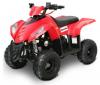 ATV RICH MOTORS HS ATV 70