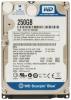 Blue hdd notebook 2.5'', 250gb,