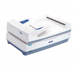 Epson GT-20000NPro - Scanner orizontal (flatbed) color A3